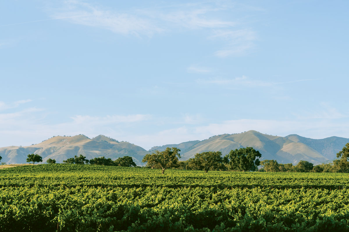 Santa Barbara wine country